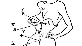 A structural engineer performs a stress analysis of a strapless gown